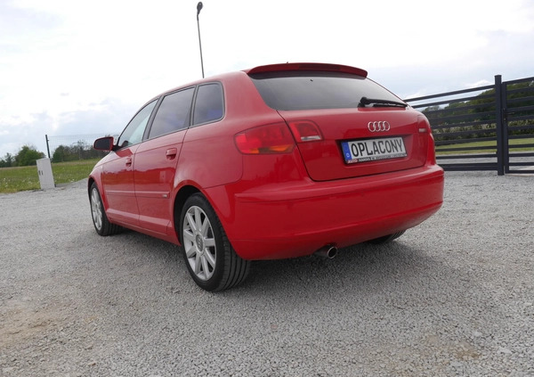 Audi A3 cena 18800 przebieg: 221694, rok produkcji 2006 z Szczytna małe 326